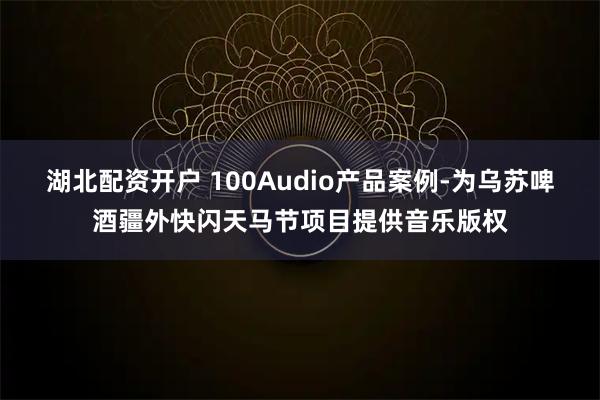 湖北配资开户 100Audio产品案例-为乌苏啤酒疆外快闪天马节项目提供音乐版权
