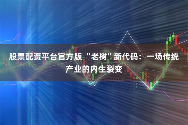 股票配资平台官方版 “老树”新代码:一场传统产业的内生裂变